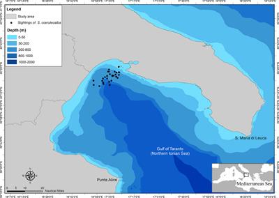 Mitochondrial DNA diversity and genetic structure of striped dolphin Stenella coeruleoalba in the Northern Ionian Sea